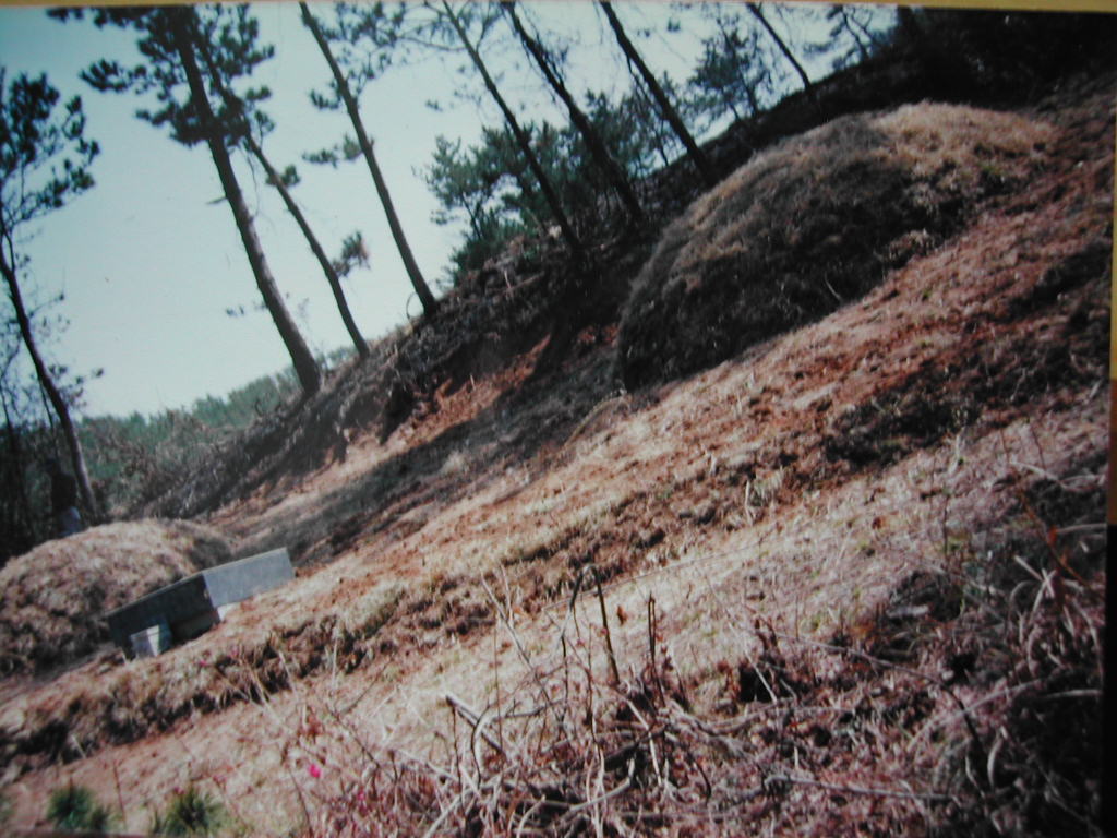 1900.jpg